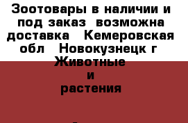 Зоотовары в наличии и под заказ, возможна доставка - Кемеровская обл., Новокузнецк г. Животные и растения » Аксесcуары и товары для животных   